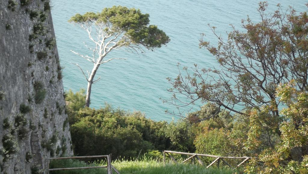 B&B Vico Vacanze Vico Del Gargano Dış mekan fotoğraf