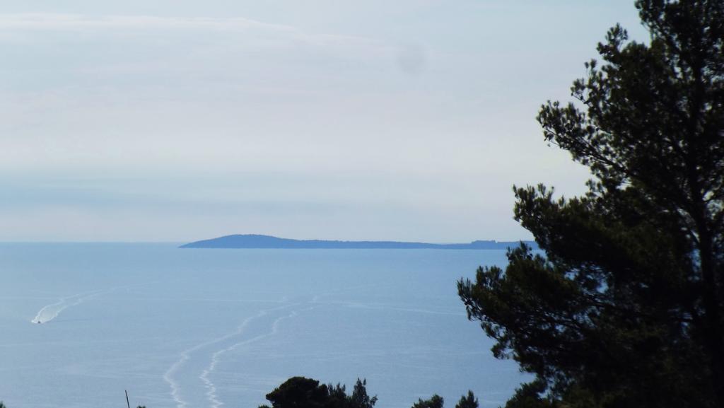 B&B Vico Vacanze Vico Del Gargano Dış mekan fotoğraf