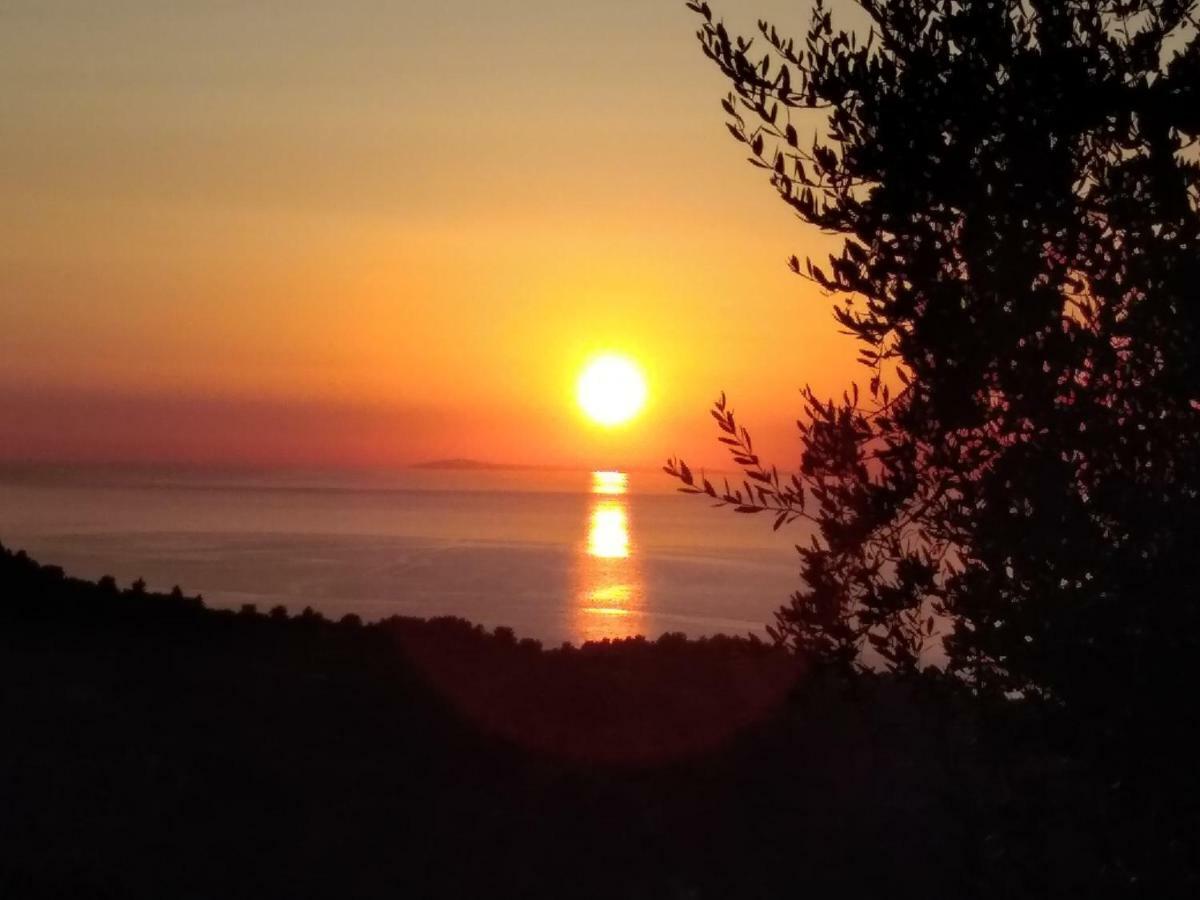 B&B Vico Vacanze Vico Del Gargano Dış mekan fotoğraf